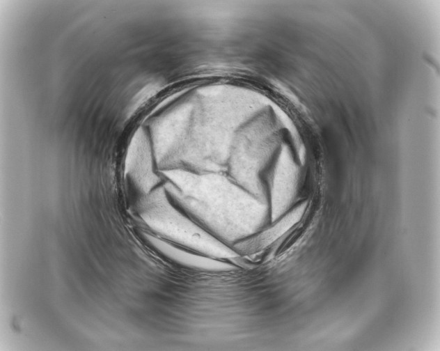 X0000098131259200805080951