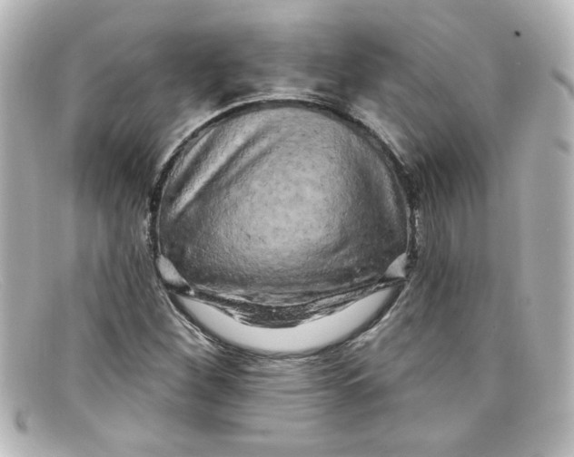 X0000098131260200805080951