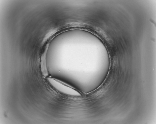 X0000098131261200805080951