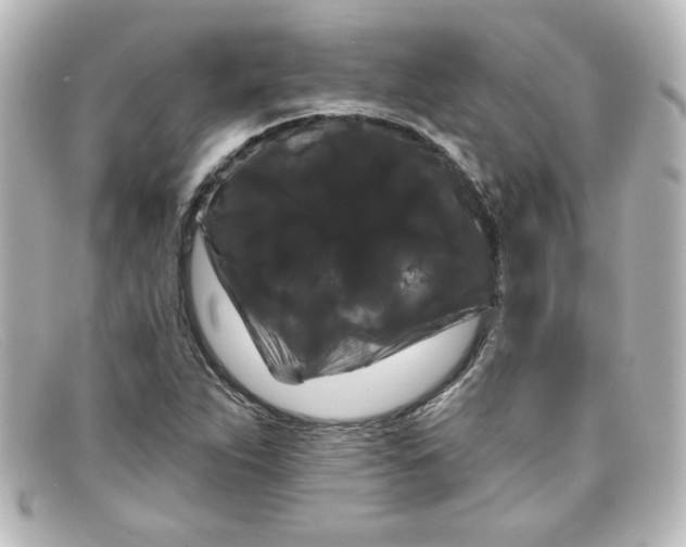 X0000098131263200805080951