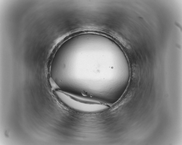 X0000098131264200805080951