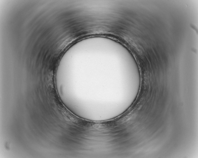 X0000098131265200805080951