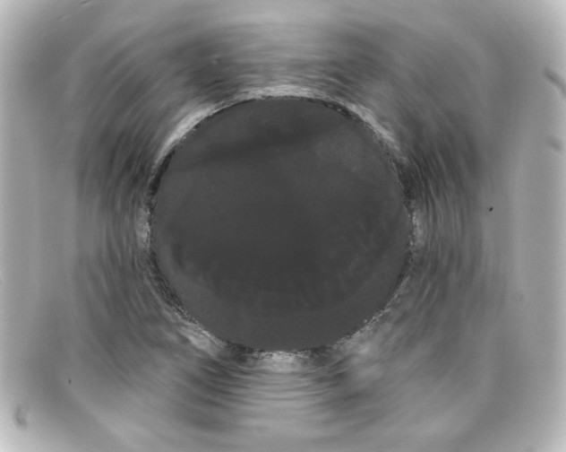 X0000098131266200805080951