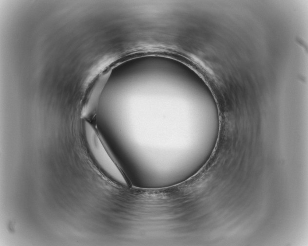 X0000098131269200805080951