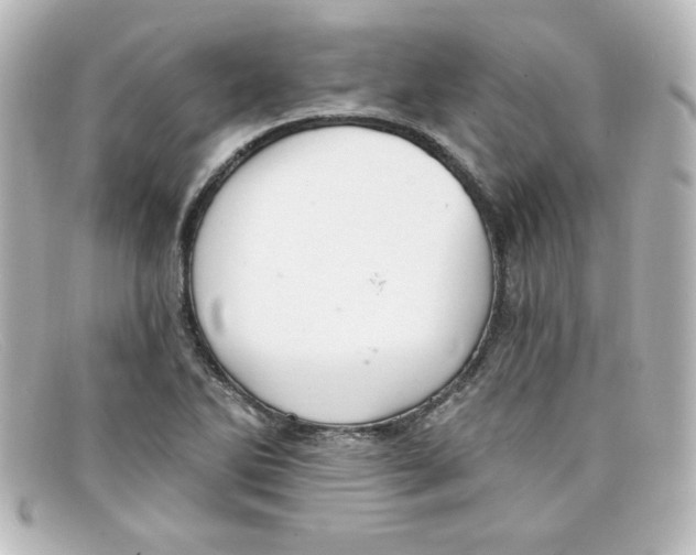 X0000098131270200805080951