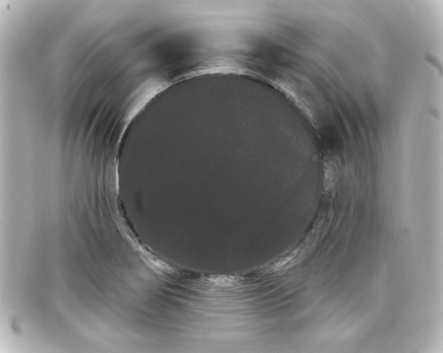 X0000098131274200805080951
