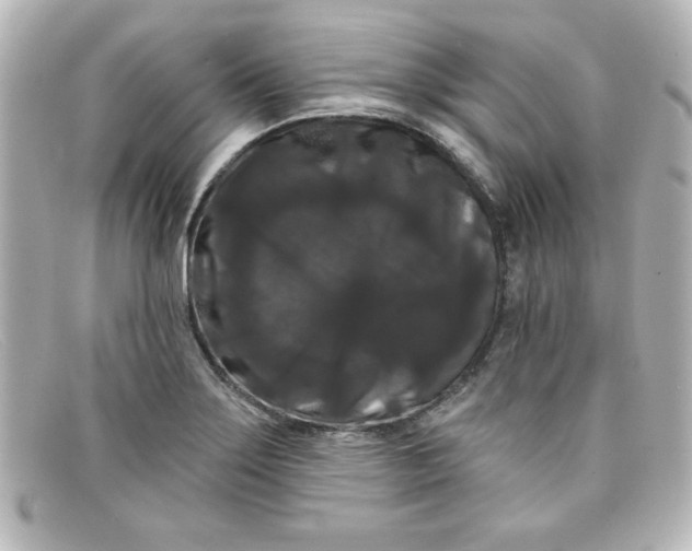 X0000098131275200805080951