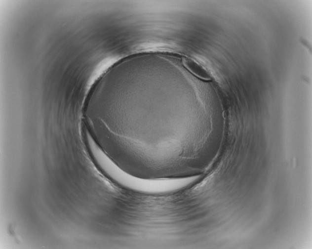 X0000098131277200805080951