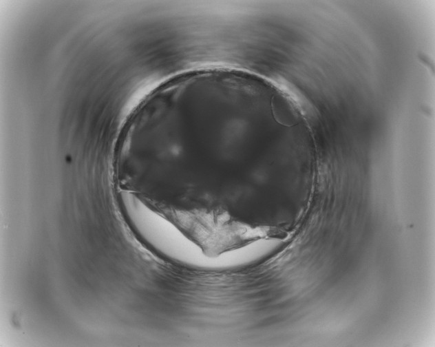 X0000098131279200805080951