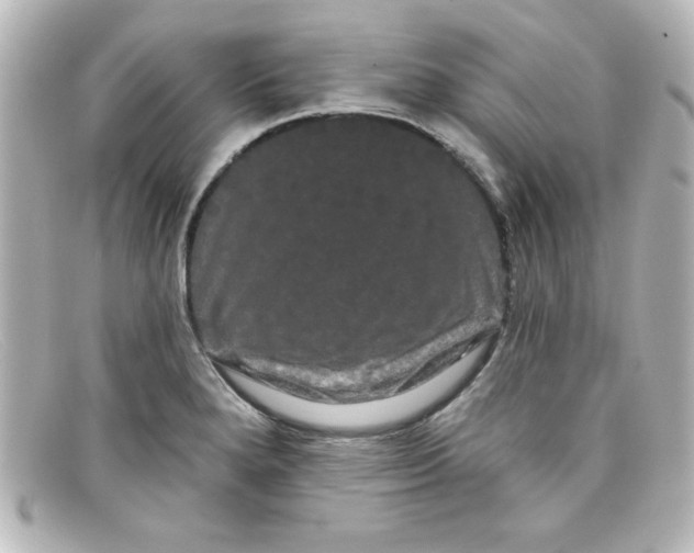 X0000098131280200805080951
