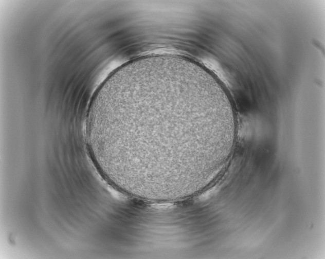 X0000098131282200805080951