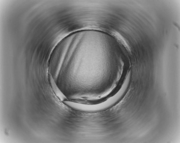 X0000098131284200805080950