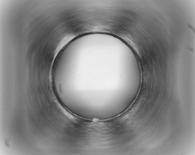 X0000098131285200805080950