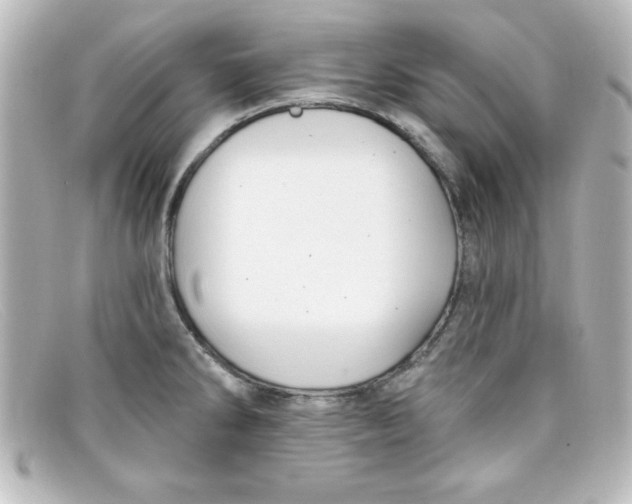 X0000098131286200805080950