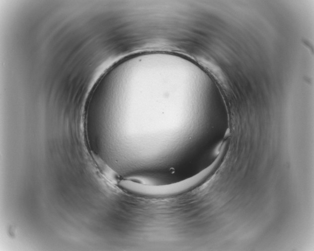 X0000098131288200805080950