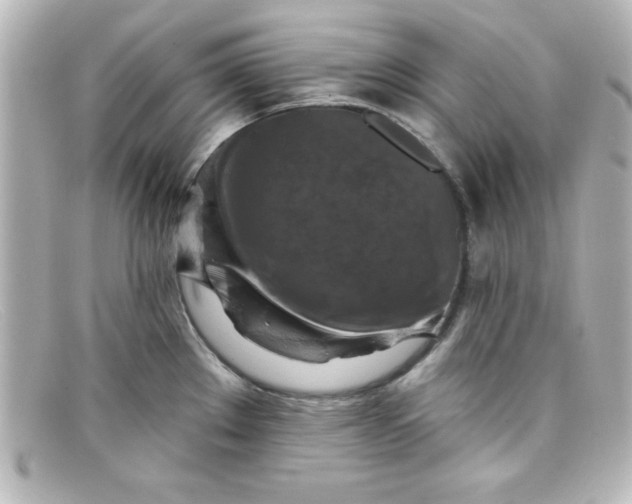 X0000098131289200805080950