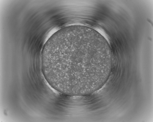 X0000098131290200805080950