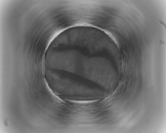 X0000098131295200805080950