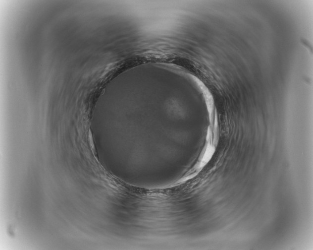 X0000098131297200805080950