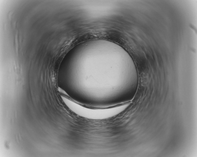 X0000098131298200805080950