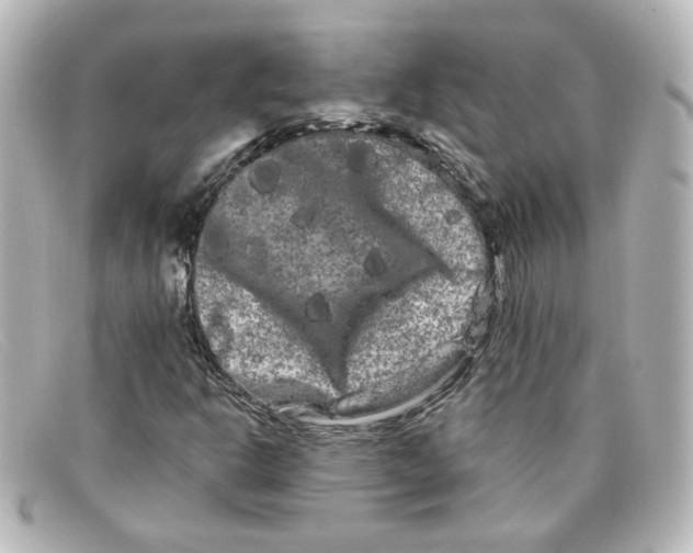 X0000098131302200805080950
