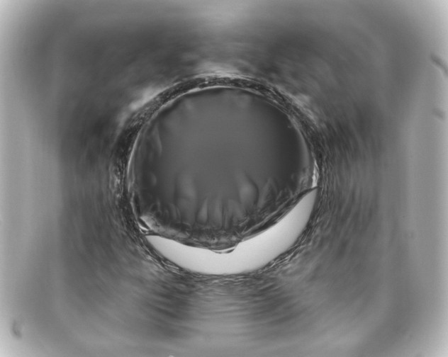 X0000098131303200805080950