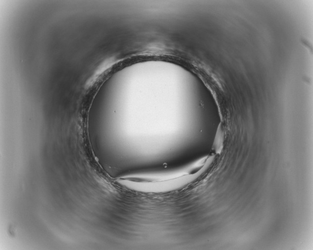 X0000098131304200805080950