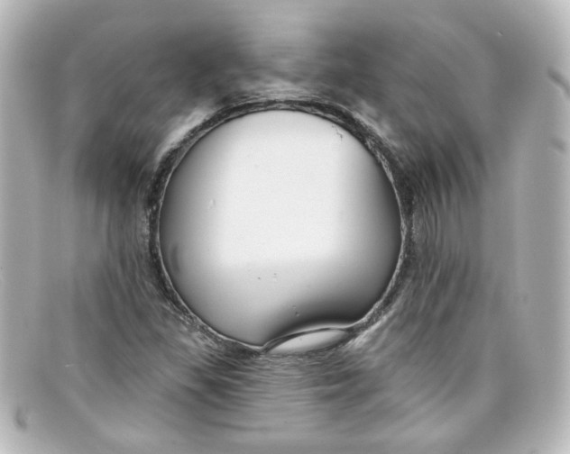 X0000098131309200805080950