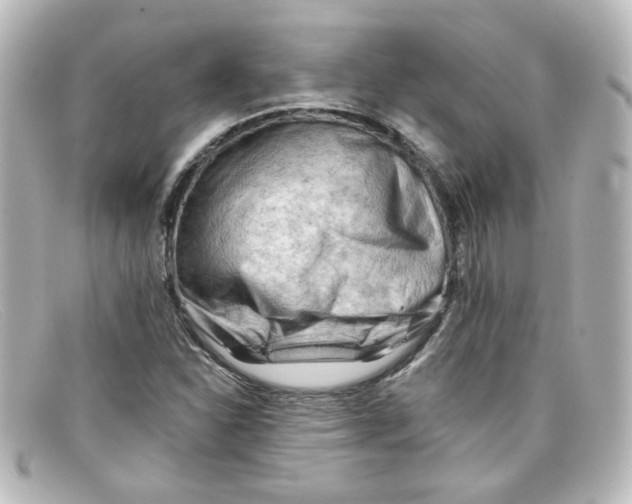 X0000098131310200805080950