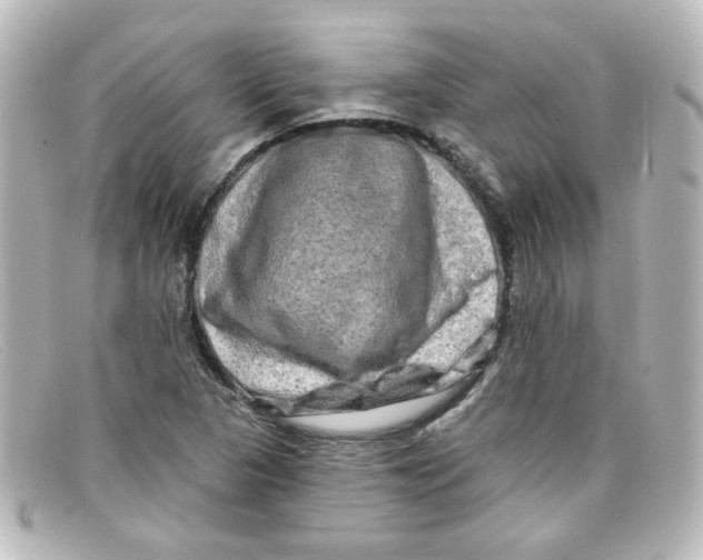 X0000098131313200805080950