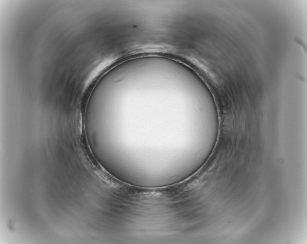 X0000098131317200805080950