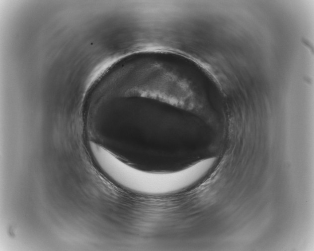X0000098131319200805080950