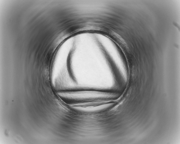 X0000098131321200805080950
