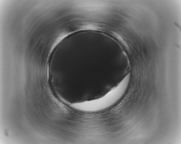 X0000098131323200805080950