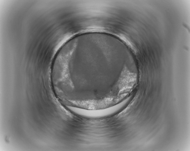 X0000098131325200805080950