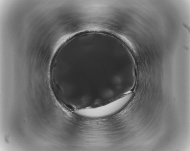 X0000098131327200805080950