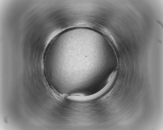 X0000098131328200805080950