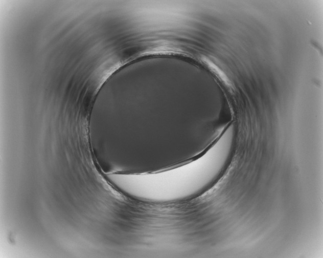 X0000098131329200805080950