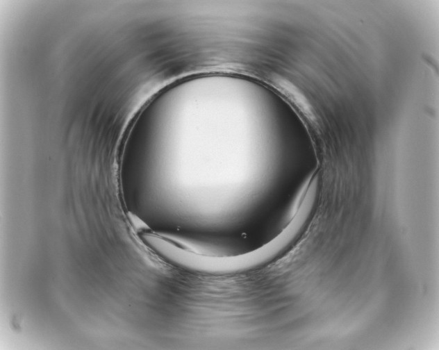 X0000098131332200805080950