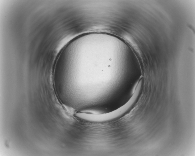 X0000098131336200805080950