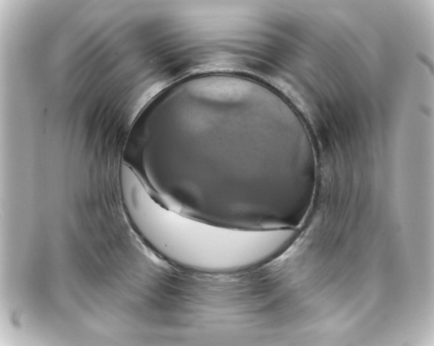 X0000098131337200805080950