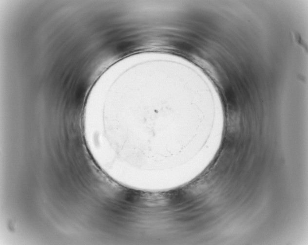 X0000098131338200805080950