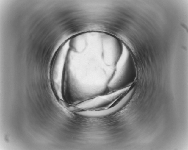 X0000098131339200805080950