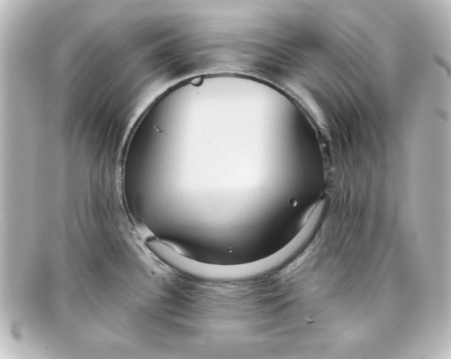 X0000098131340200805080950