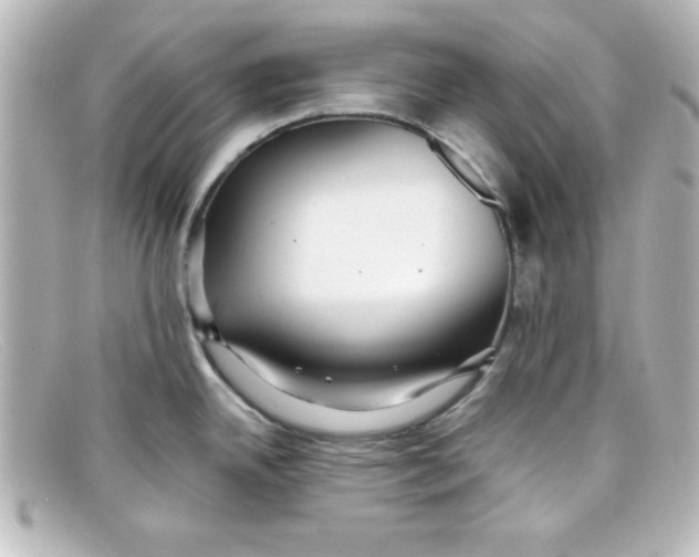X0000098131342200805080950