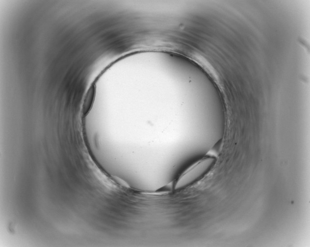 X0000098131344200805080950