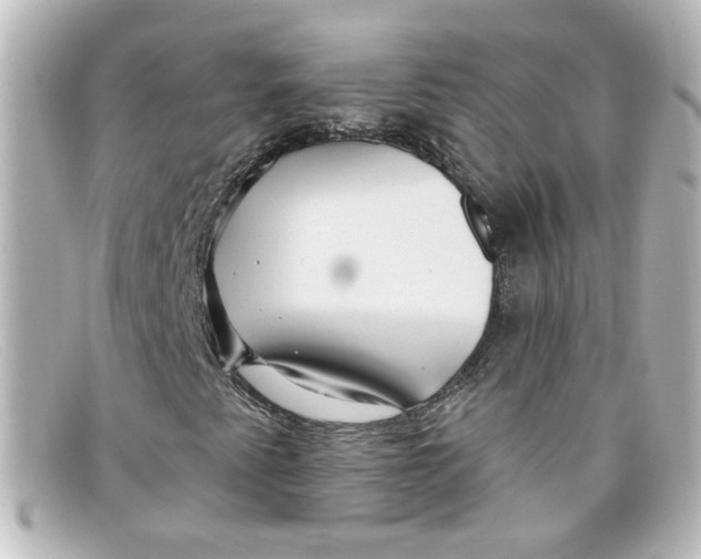 X0000098131345200805080950