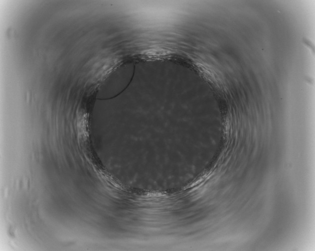 X0000098131346200805080950