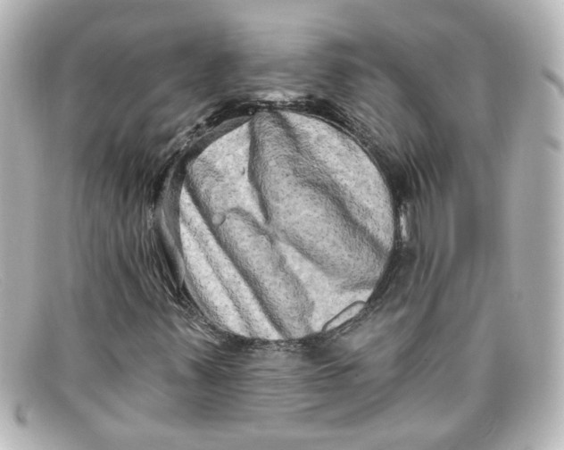 X0000098131347200805080950