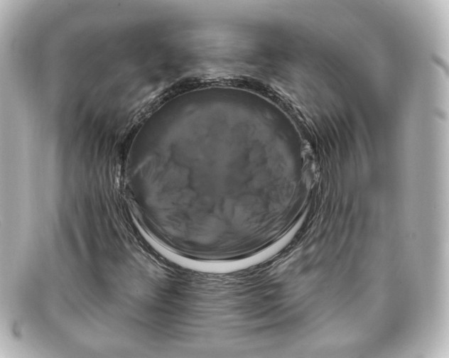 X0000098131348200805080950
